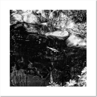 Reflecting Pond (Black & White) Posters and Art